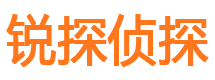 濠江市侦探公司